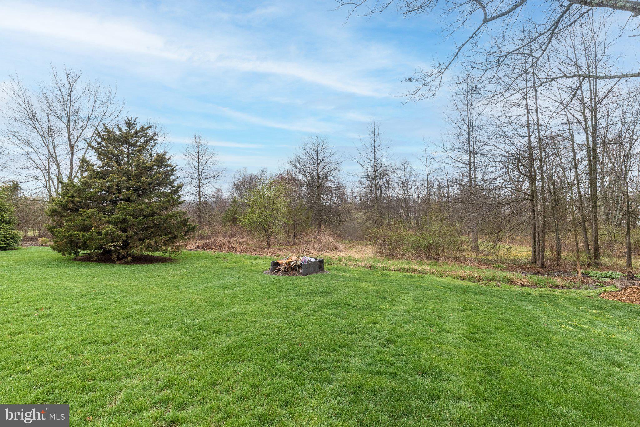 3645-57 Applebutter Road Fountainville, PA 18923 - Photo 90 of 98 Lush green lawn meets serene woods.
