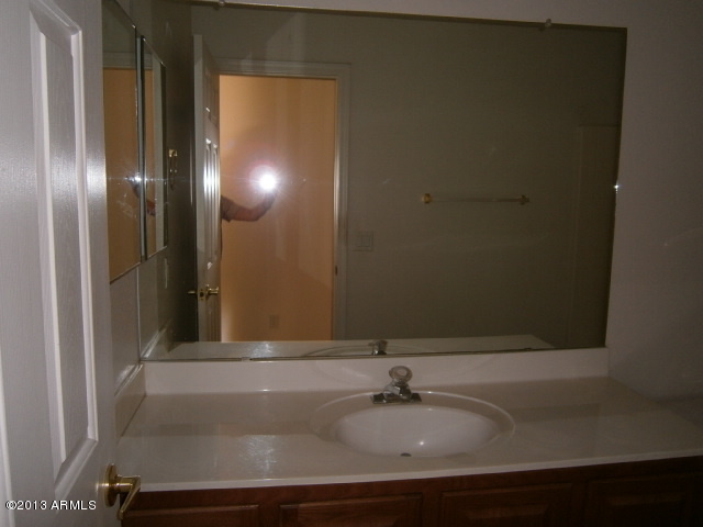 1307 West Vineyard Road Phoenix, AZ 85041 - Photo 14 of 30 Master Bath