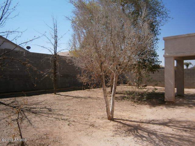 1307 West Vineyard Road Phoenix, AZ 85041 - Photo 28 of 30 Back Yard
