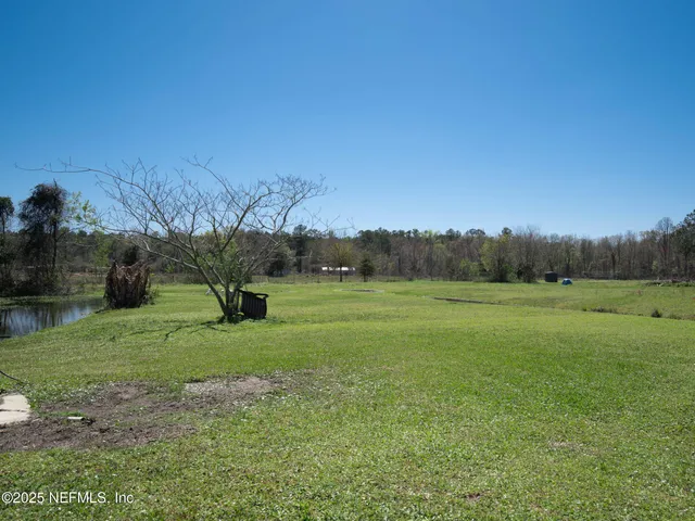 a body of water with a tree in the background