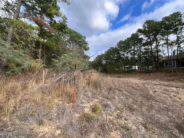 a view of a field with plants and trees