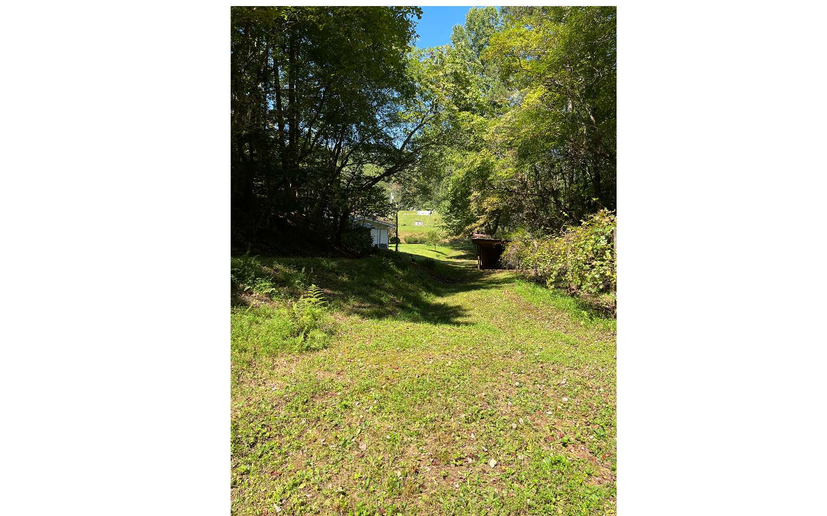 1647 Old Murphy Road Murphy, NC 28906 - Photo 29 of 32 Additional View