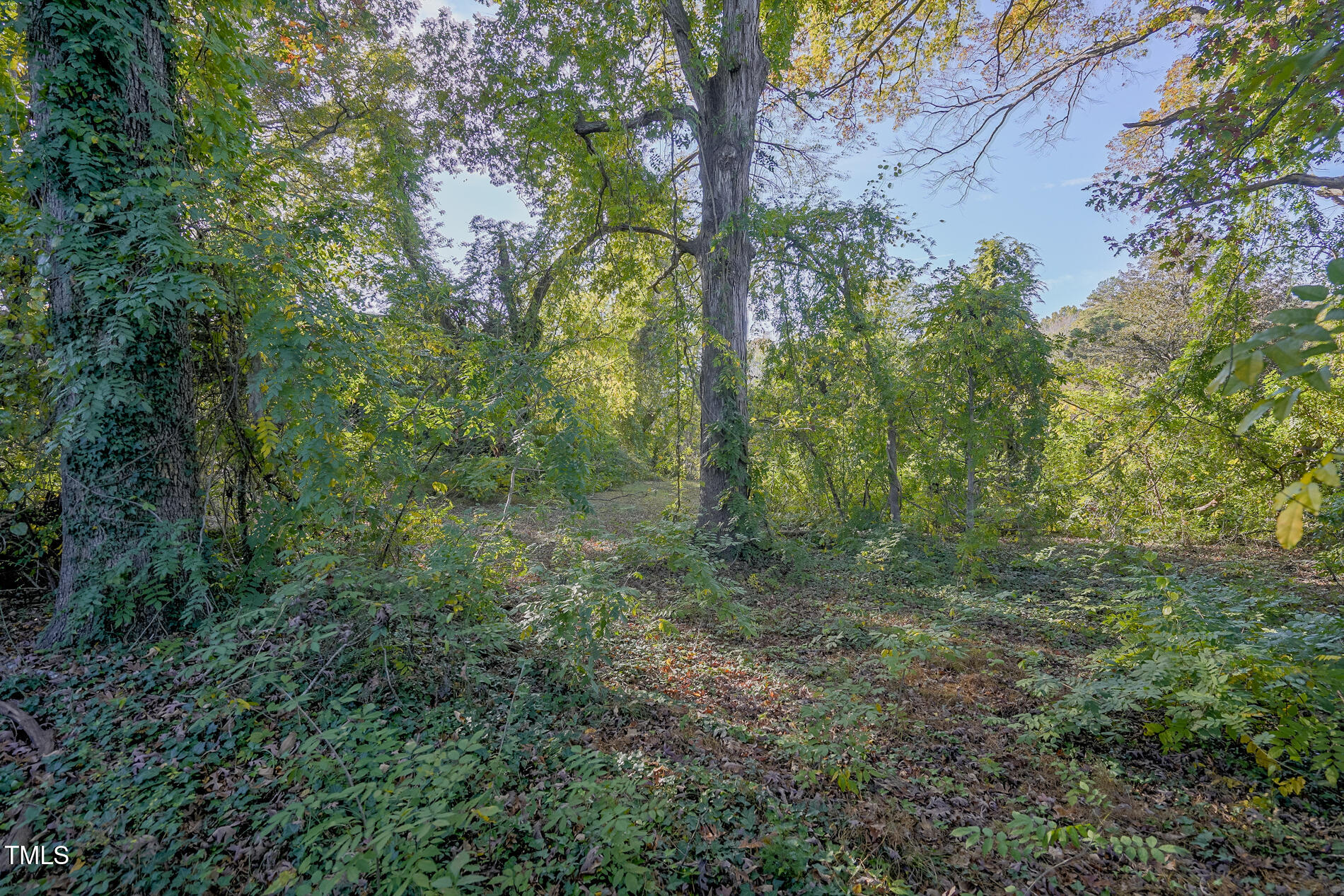 6309 Litchford Road Raleigh, NC 27615 - Photo 3 of 14 middle of lot