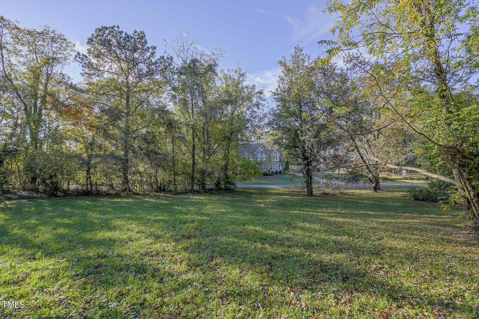 6309 Litchford Road Raleigh, NC 27615 - Photo 7 of 14 rear of lot onto johnsdale