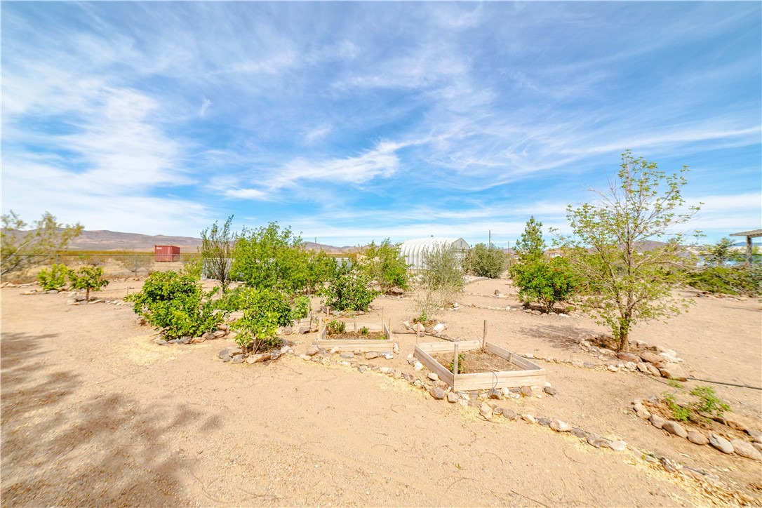 4741 Eden Road Golden Valley, AZ 86413 - Photo 48 of 75 Yard