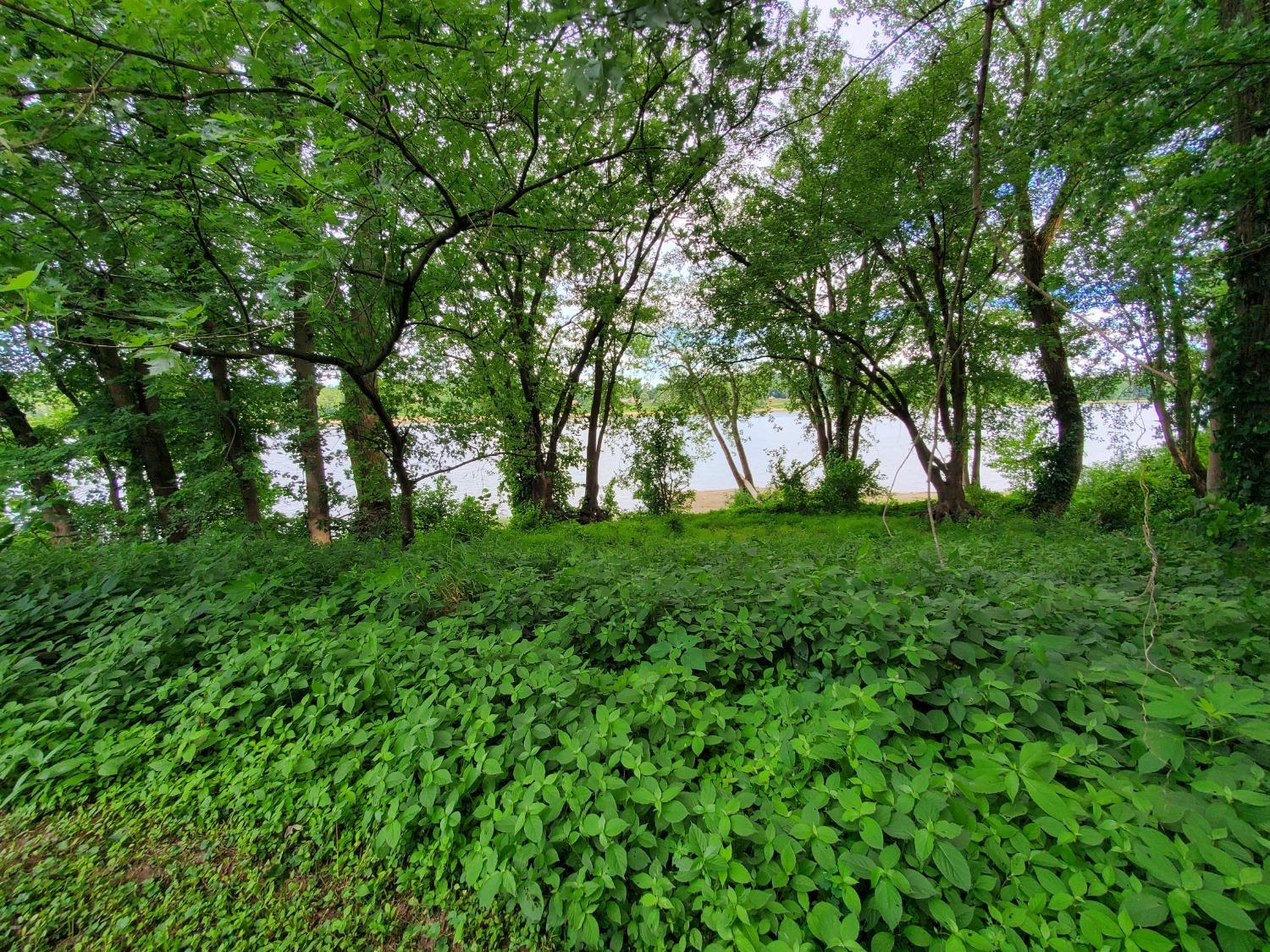 0 Washington Street Vevay, IN 47043 - Photo 8 of 12