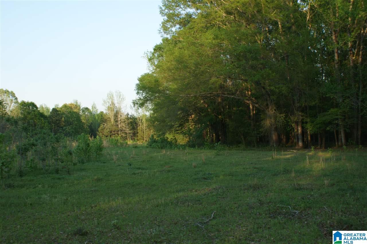 15 County Road, Unit 12791 Maplesville, AL 36750 - Photo 6 of 10