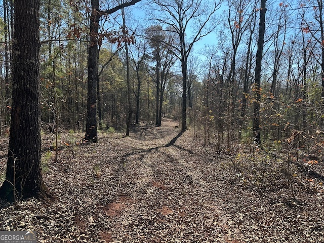 331 Worsham Road Culloden, GA 31016 - Photo 12 of 33