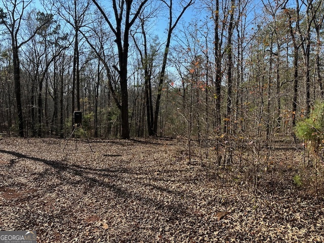 331 Worsham Road Culloden, GA 31016 - Photo 13 of 33