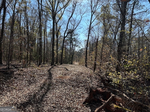 331 Worsham Road Culloden, GA 31016 - Photo 14 of 33