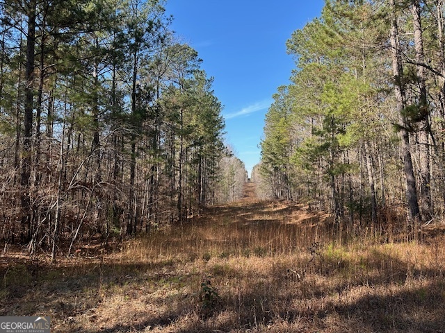 331 Worsham Road Culloden, GA 31016 - Photo 15 of 33