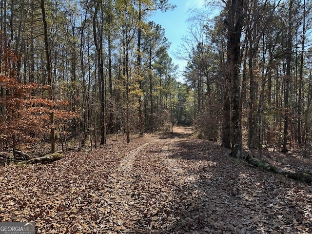 331 Worsham Road Culloden, GA 31016 - Photo 16 of 33