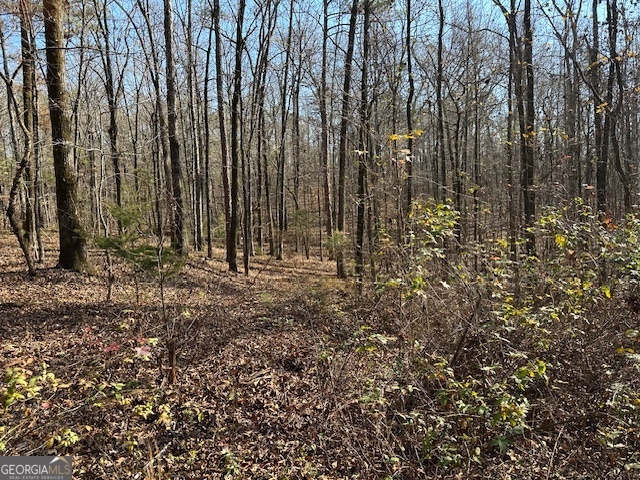 331 Worsham Road Culloden, GA 31016 - Photo 17 of 33