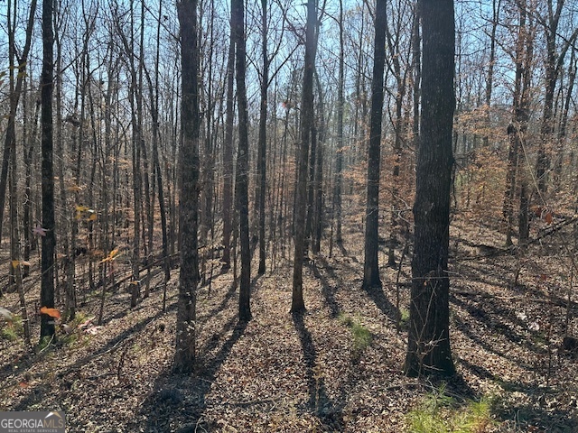 331 Worsham Road Culloden, GA 31016 - Photo 18 of 33