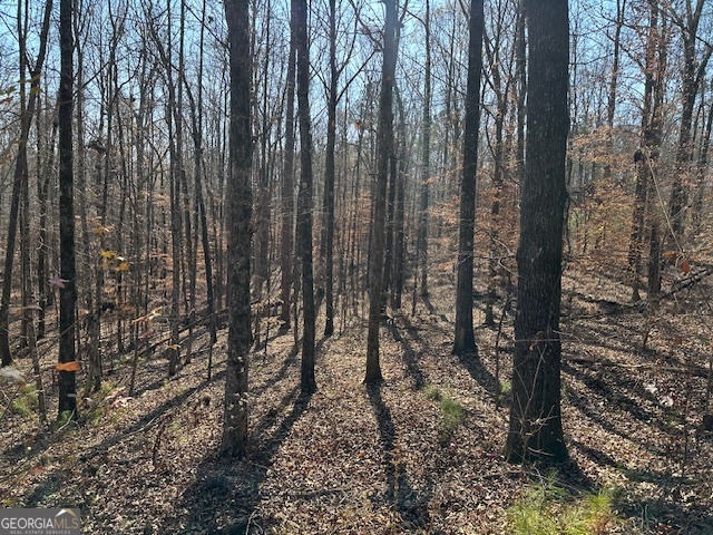 331 Worsham Road Culloden, GA 31016 - Photo 19 of 33