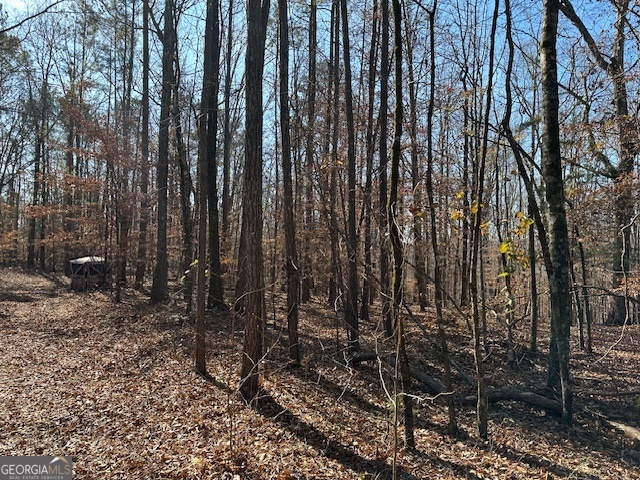 331 Worsham Road Culloden, GA 31016 - Photo 20 of 33