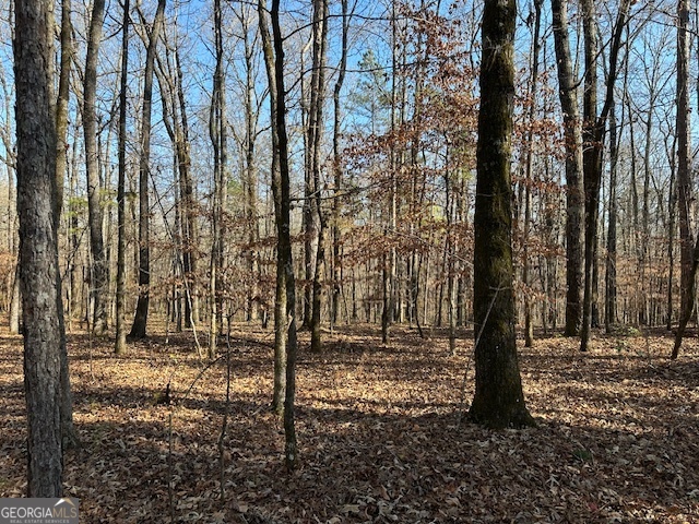 331 Worsham Road Culloden, GA 31016 - Photo 2 of 33