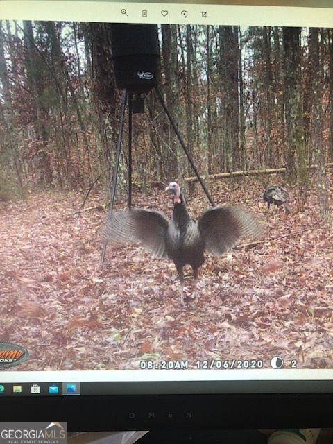 331 Worsham Road Culloden, GA 31016 - Photo 23 of 33