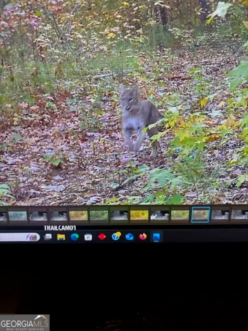 $632,500 | 331 Worsham Road, Culloden, GA 31016