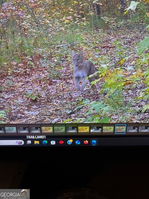 331 Worsham Road Culloden, GA 31016 - Photo 24 of 33