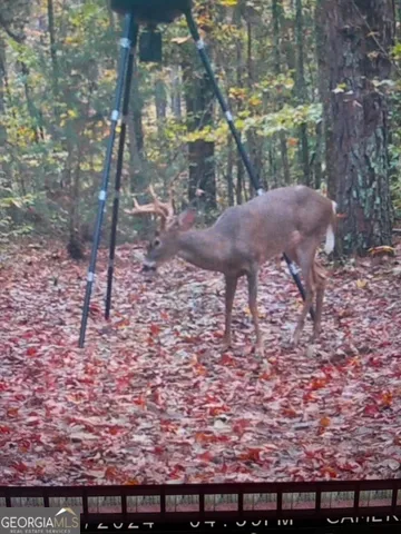 $632,500 | 331 Worsham Road, Culloden, GA 31016