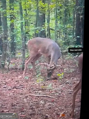 $632,500 | 331 Worsham Road, Culloden, GA 31016