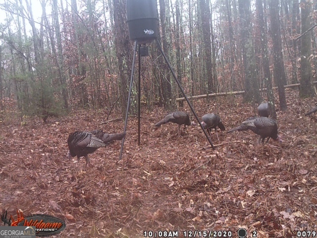 331 Worsham Road Culloden, GA 31016 - Photo 28 of 33