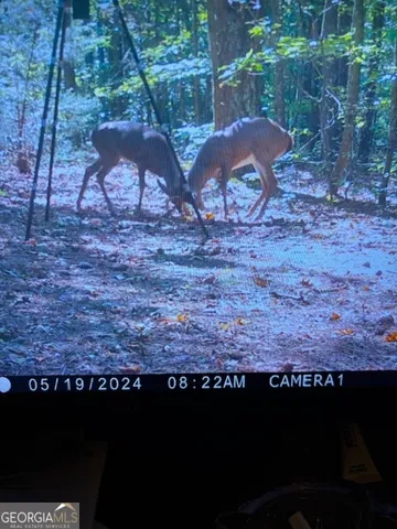 $632,500 | 331 Worsham Road, Culloden, GA 31016