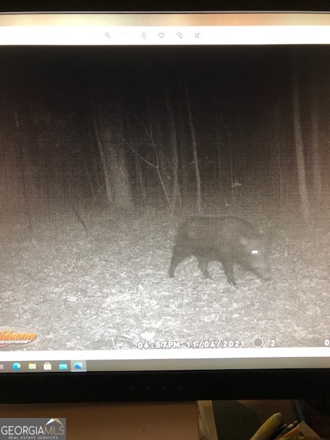 331 Worsham Road Culloden, GA 31016 - Photo 30 of 33