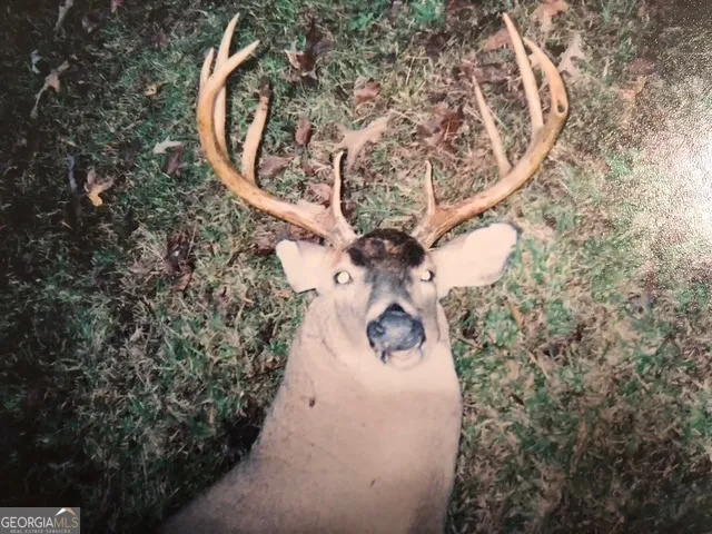 $632,500 | 331 Worsham Road, Culloden, GA 31016