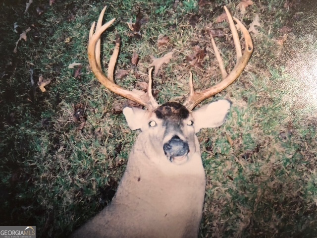 331 Worsham Road Culloden, GA 31016 - Photo 31 of 33