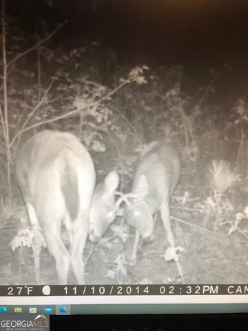 $632,500 | 331 Worsham Road, Culloden, GA 31016