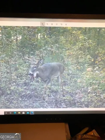 $632,500 | 331 Worsham Road, Culloden, GA 31016