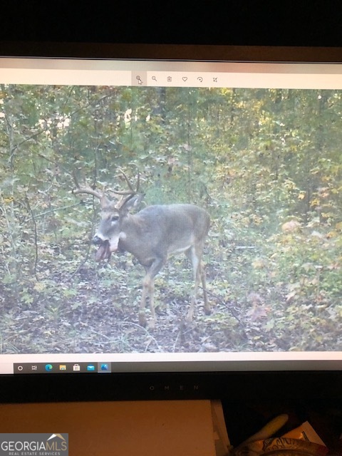 331 Worsham Road Culloden, GA 31016 - Photo 33 of 33