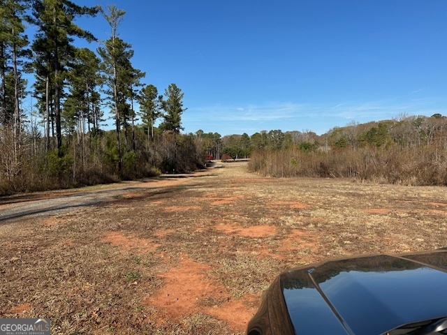 331 Worsham Road Culloden, GA 31016 - Photo 5 of 33