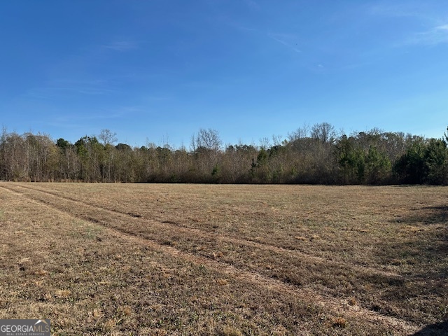 331 Worsham Road Culloden, GA 31016 - Photo 6 of 33