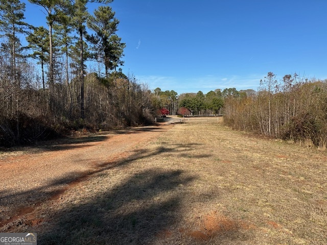 331 Worsham Road Culloden, GA 31016 - Photo 8 of 33