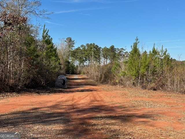 331 Worsham Road Culloden, GA 31016 - Photo 9 of 33