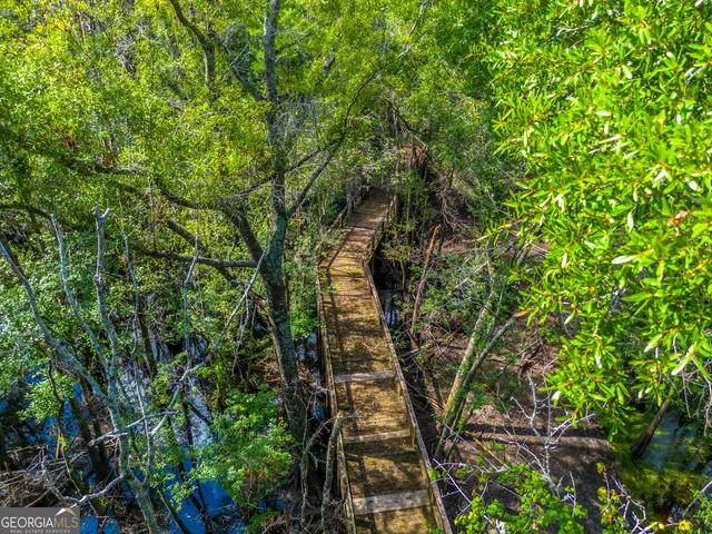 $429,000 | 128 Satilla Bluffs Drive, Blackshear, GA 31516