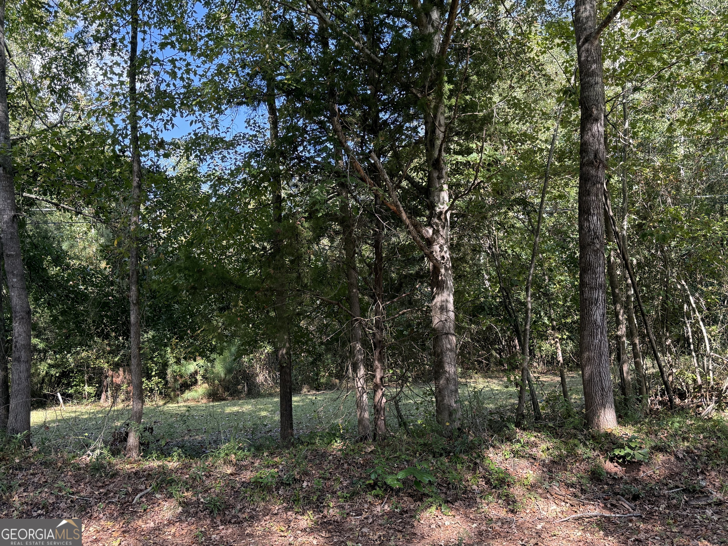0 Hudson Street Hamilton, GA 31811 - Photo 2 of 7 a view of a forest with trees in the background