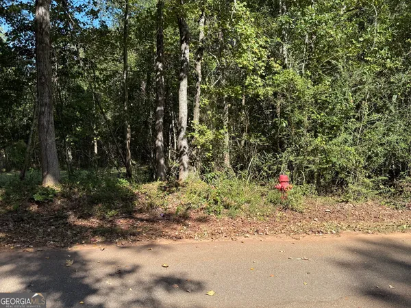 $125,000 | 0 Hudson Street, Hamilton, GA 31811