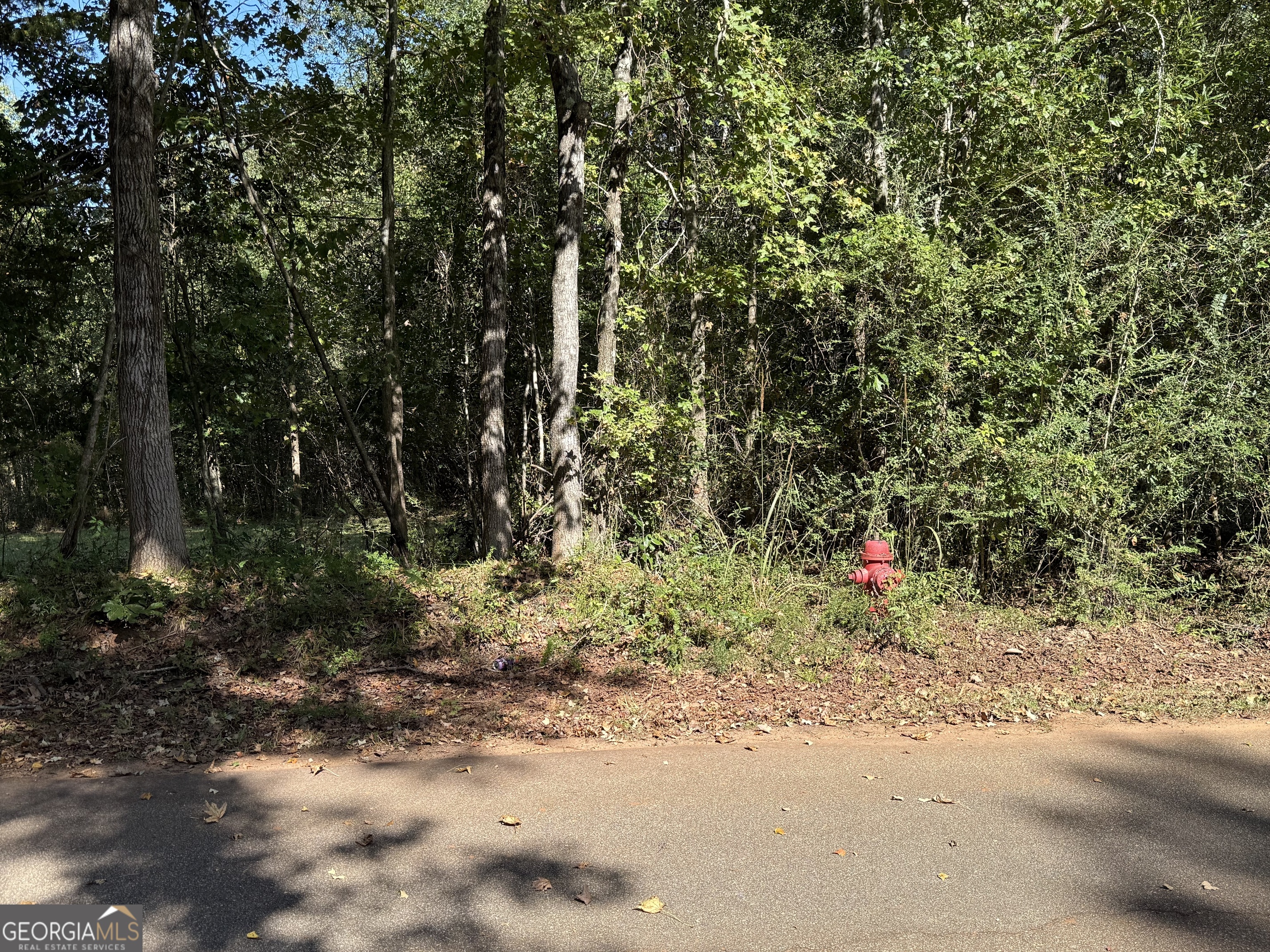 0 Hudson Street Hamilton, GA 31811 - Photo 3 of 7 a backyard of a house with lots of green space