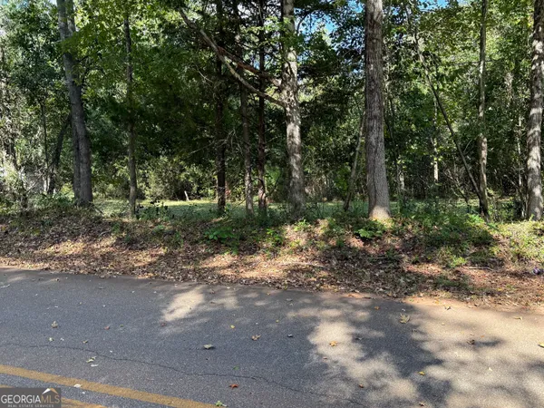 $125,000 | 0 Hudson Street, Hamilton, GA 31811