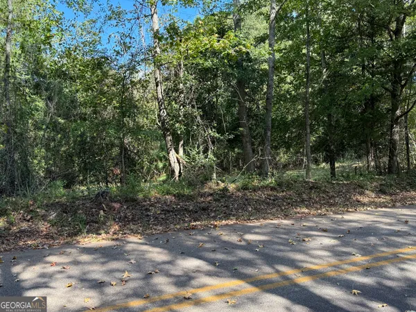 $125,000 | 0 Hudson Street, Hamilton, GA 31811