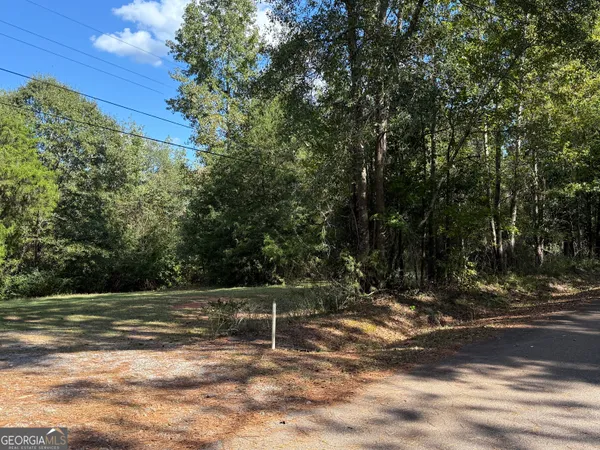 $125,000 | 0 Hudson Street, Hamilton, GA 31811