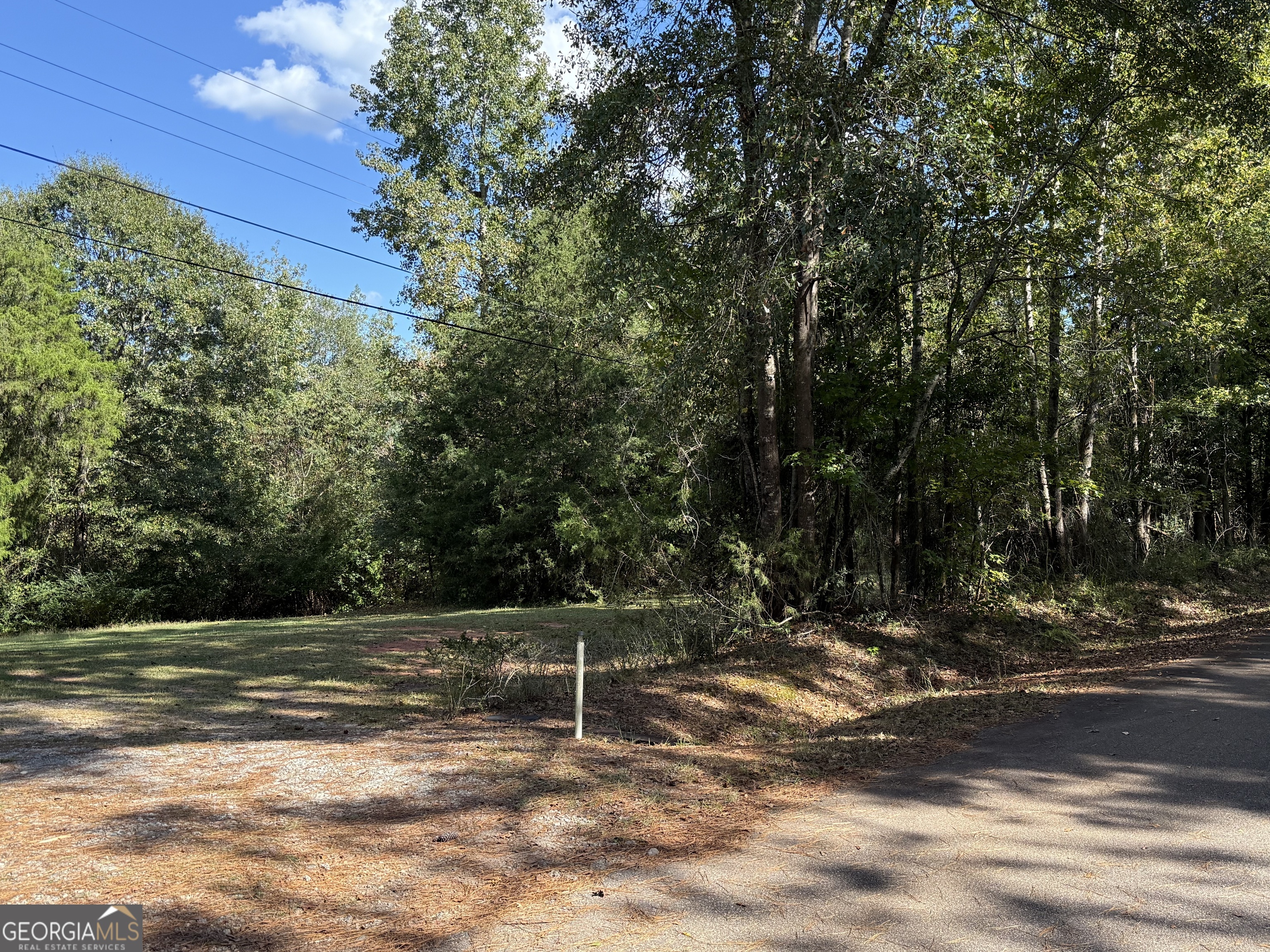 0 Hudson Street Hamilton, GA 31811 - Photo 6 of 7 a view of a park