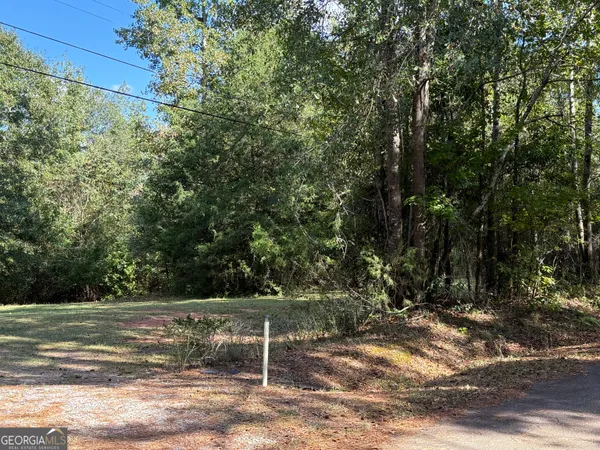 $125,000 | 0 Hudson Street, Hamilton, GA 31811