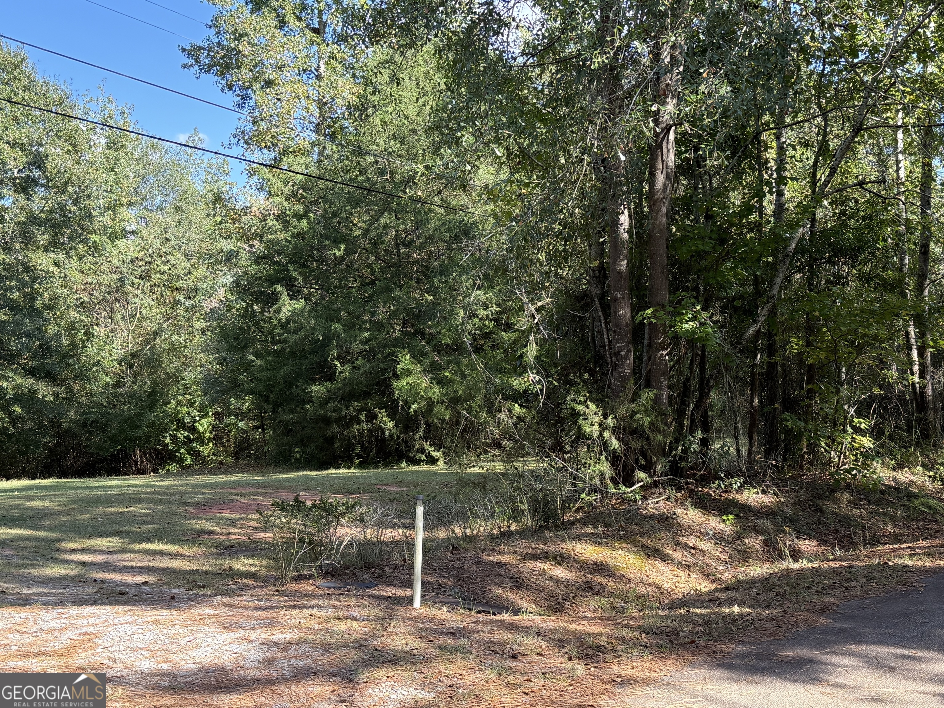 0 Hudson Street Hamilton, GA 31811 - Photo 7 of 7 a view of backyard with green space