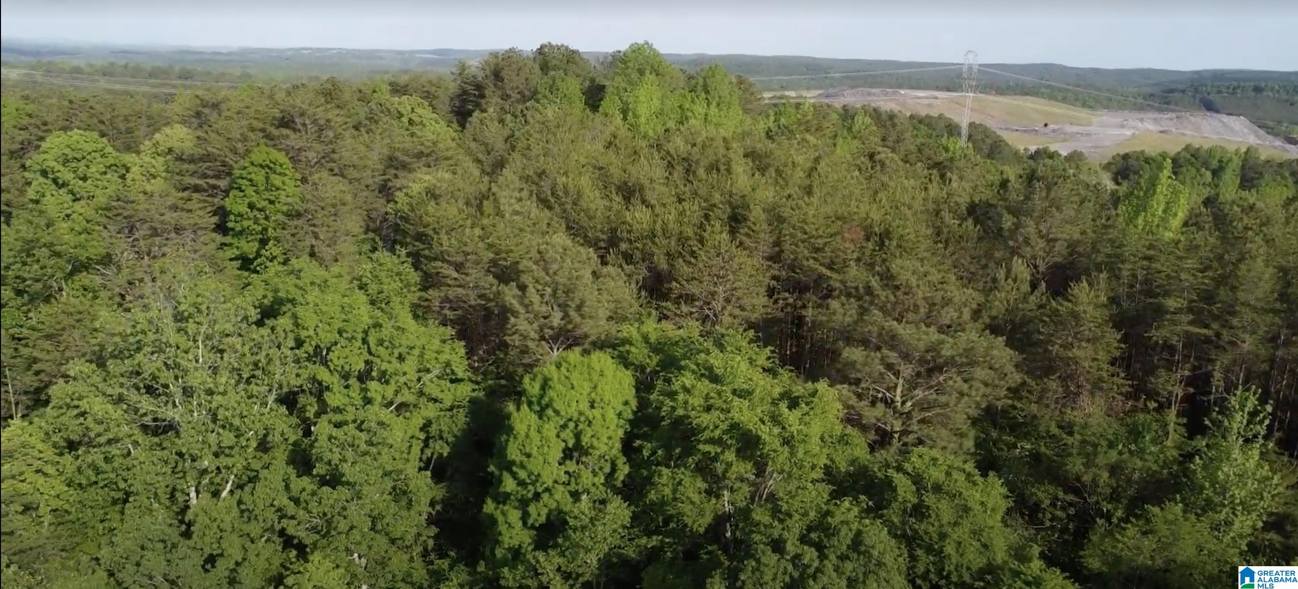 7951 River Road Dora, AL 35062 - Photo 27 of 28