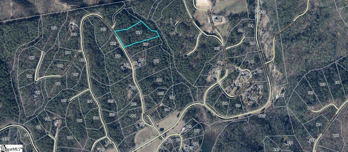 224 Vineyard Park Sunset, SC 29685 - Photo 2 of 2